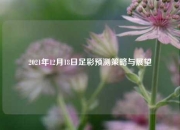 2021年12月18日足彩预测策略与展望