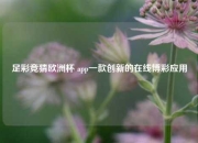 足彩竞猜欧洲杯 app一款创新的在线博彩应用
