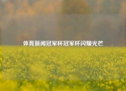 体育新闻冠军杯冠军杯闪耀光芒