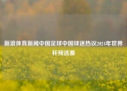 新浪体育新闻中国足球中国球迷热议2024年世界杯预选赛
