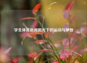 学生体育新闻阳光下的运动与梦想