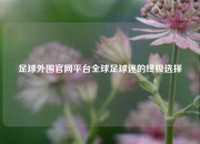 足球外围官网平台全球足球迷的终极选择