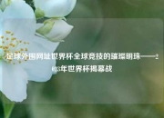 足球外围网址世界杯全球竞技的璀璨明珠——2023年世界杯揭幕战