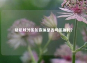 赌足球外围能赢嘛是否可能盈利？