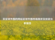 买足球外围的网站足球外围市场现状及投资分析报告