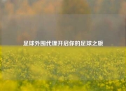 足球外围代理开启你的足球之旅