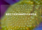 推荐几个足球外围推荐几个足球外围