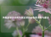 外围足球安全吗外围足球的安全性分析与建议