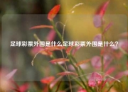 足球彩票外围是什么足球彩票外围是什么？