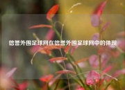 信誉外围足球网在信誉外围足球网中的体现