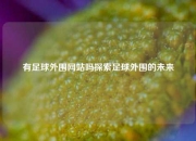 有足球外围网站吗探索足球外围的未来