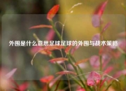 外围是什么意思足球足球的外围与战术策略