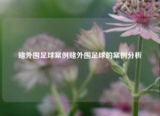赌外围足球案例赌外围足球的案例分析