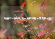 外围足球腰斩比赛一场精彩绝伦的竞技盛宴