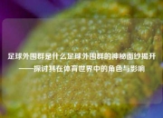 足球外围群是什么足球外围群的神秘面纱揭开——探讨其在体育世界中的角色与影响