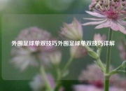 外围足球单双技巧外围足球单双技巧详解