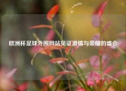 欧洲杯足球外围网站见证激情与荣耀的盛会