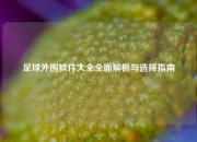 足球外围软件大全全面解析与选择指南