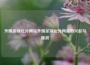 外围足球比分网站外围足球比分网站的兴起与挑战