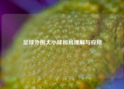 足球外围大小球和局理解与应用