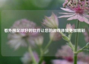 看外围足球好的软件让您的游戏体验更加精彩