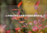 365外围足球投注探索未来的机遇与挑战