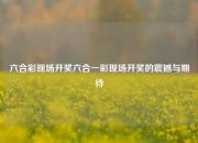 六合彩现场开奖六合一彩现场开奖的震撼与期待