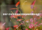 香港六合彩宝典揭秘中国最神秘的博彩游戏