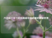 六合彩三中三资料揭秘中国彩票的神秘世界