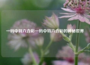 一码中特六合彩一码中特六合彩的神秘世界