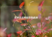 买球合法网站您的选择