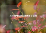 买球的网站怎么注册详尽指南