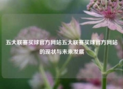 五大联赛买球官方网站五大联赛买球官方网站的现状与未来发展