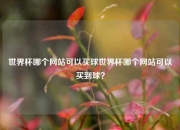 世界杯哪个网站可以买球世界杯哪个网站可以买到球？