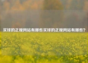 买球的正规网站有哪些买球的正规网站有哪些？