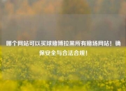 哪个网站可以买球赌博拉黑所有赌场网站！确保安全与合法合规！