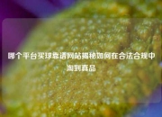哪个平台买球靠谱网站揭秘如何在合法合规中淘到真品