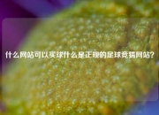 什么网站可以买球什么是正规的足球竞猜网站？