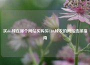 买cba球在哪个网站买购买CBA球衣的网站选择指南
