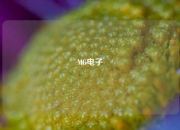 MG电子