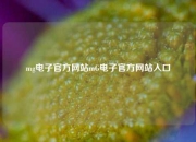 mg电子官方网站mG电子官方网站入口