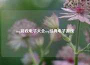 mg游戏电子大全mg经典电子游戏