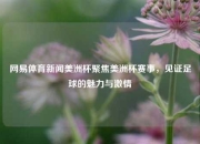 网易体育新闻美洲杯聚焦美洲杯赛事，见证足球的魅力与激情