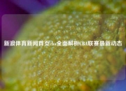 新浪体育新闻首页cba全面解析CBA联赛最新动态