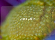 mg电子 pt电子