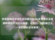 体育新闻足球资讯全球瞩目的2024年世界杯足球赛即将在欧洲拉开帷幕，让我们一同回顾过去一年的精彩足球赛事！