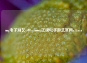 mg电子游艺vs88.commg正规电子游艺官网a17aaa