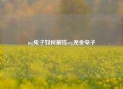 mg电子如何藏钱mg现金电子