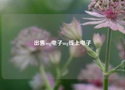 出售mg电子mg线上电子