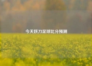 今天妖刀足球比分预测